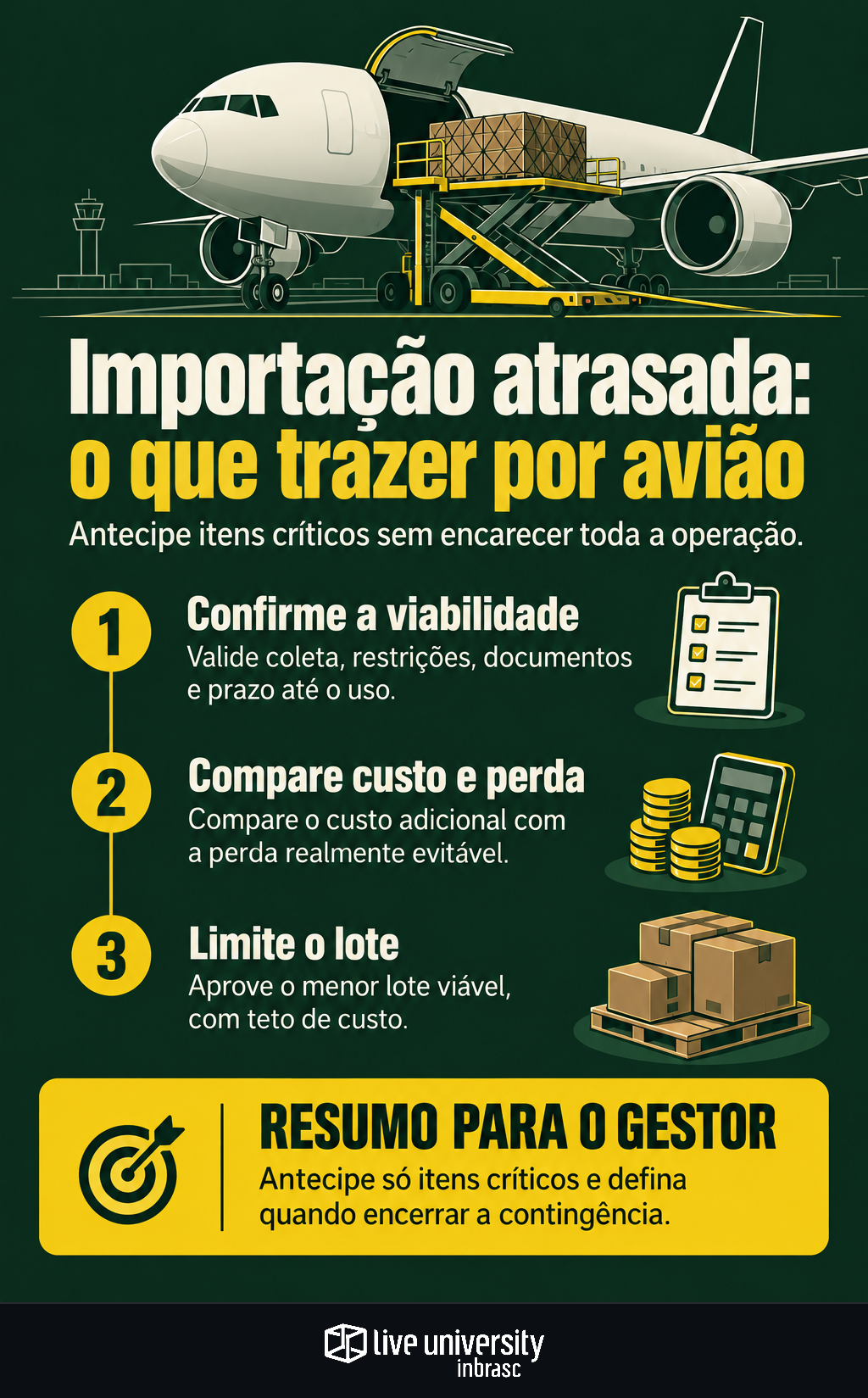 Infográfico: Importação atrasada exige escolher o que trazer por avião